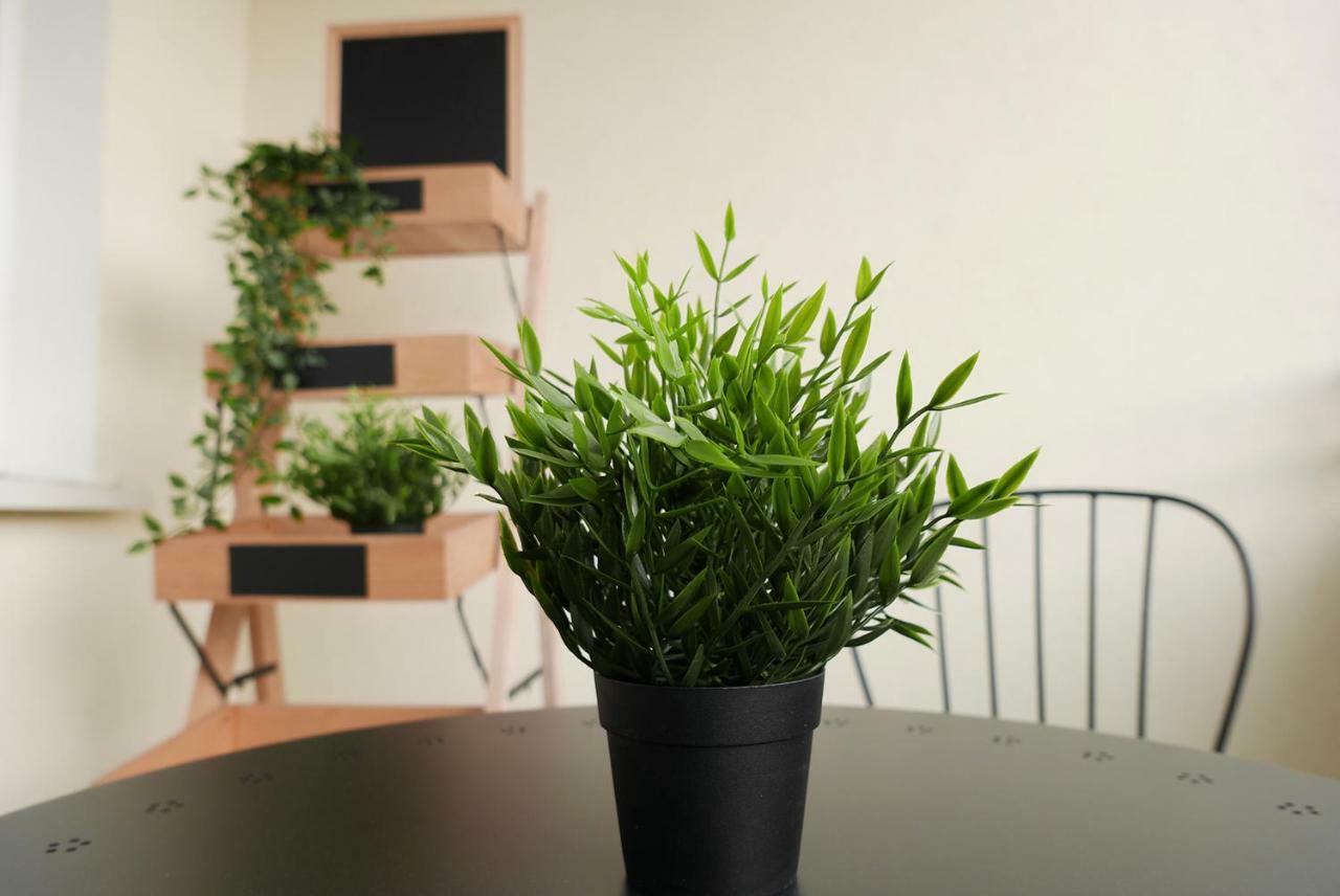 Apartament Jantarowa لوبلين المظهر الخارجي الصورة